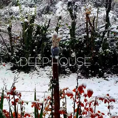 Deep House vol.28 (Vocal Selection)