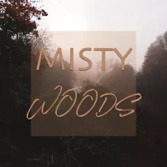 Misty Woods