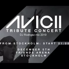 Avicii Tribute Concert - FRIENDS ARENA - 05.12.2019 