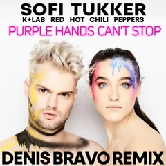 Sofi Tukker x K+Lab x RHCP - Purple Hands Can't Stop (Denis Bravo Radio Edit)