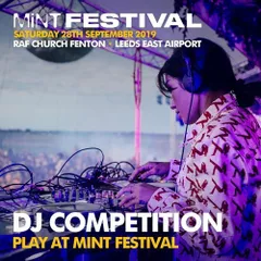 Mint Festival Entry 2019