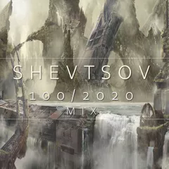 100/2020 MIX