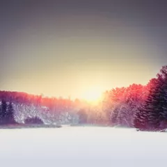 Winter Mix 2020