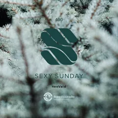 Sexy Sunday Radio Show 490 (IBIZA GLOBAL RADIO)