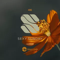 Sexy Sunday Radio Show 495 (IBIZA GLOBAL RADIO)