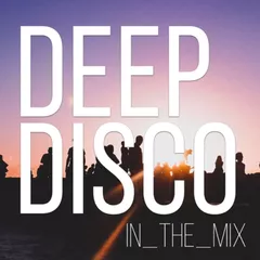 Deep Disco Records Mix vol.49