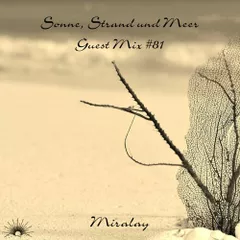 Sonne, Strand und Meer Guest Mix #81