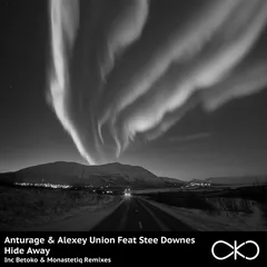 Anturage & Alexey Union feat. Stee Downes - Hide Away