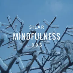 Mindfulness Episode 95