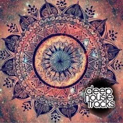 podcast #077