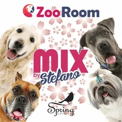 Zoo Room Spring Edition 2020