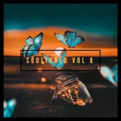 SouLInBeD Series Vol 8