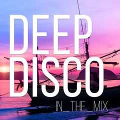 Deep Disco Records Mix vol.58