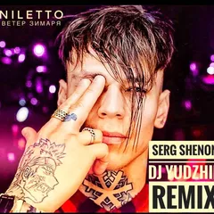 NILETTO - Ветер зимаря (Serg Shenon Yudzhin Remix)