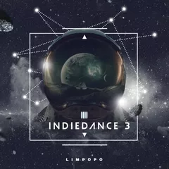 INDIEDANCE #3