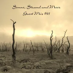 Sonne, Strand und Meer Guest Mix #91