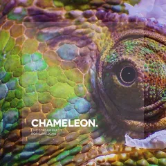 Chameleon