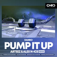 Danko - Pump It Up (Arteez  & Alex N-Ice Radio Remix)