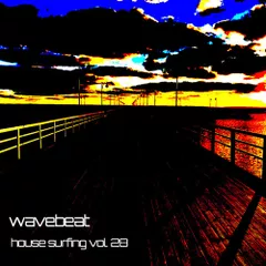 house surfing vol. 28 