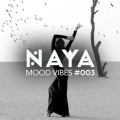 Mood Vibes #3
