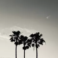 Sun Rising Sounds set Vol.3