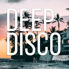 Deep Disco Vibes #17