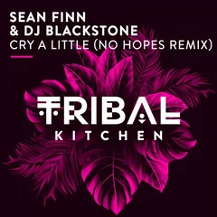 Sean Finn & DJ Blackstone - Cry A Little (No Hopes Remix)