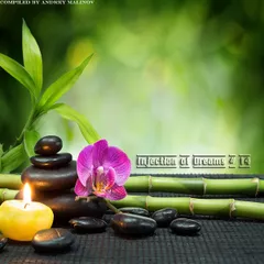 Injection of Dreams # 14