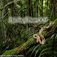 Injection of Dreams # 19