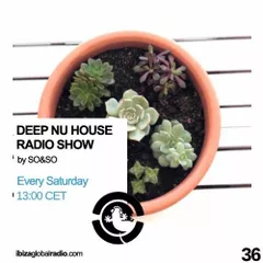 Deep Nu House Episode 036 (Ibiza Global Radio)