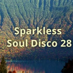 Soul Disco 28 (Autumn Slow-Mo)