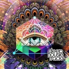 podcast #084