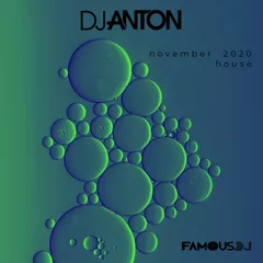 November 2020 (House)