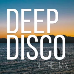 Deep Disco Records Beats Mix #2