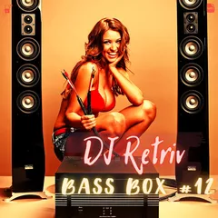 Bass Box #12