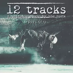 12 Tracks Vol. 010