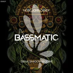 BSM029