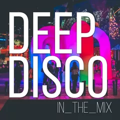 Deep Disco Records Beats Mix #4