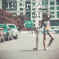 12 Tracks Vol. 011
