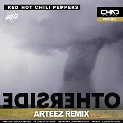 Red Hot Chili Peppers - Otherside (Arteez Radio Edit)