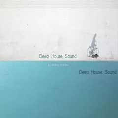 Deep House Sound vol.4
