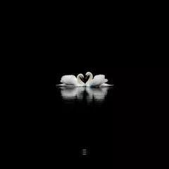 Anthony El Mejor - Swan Lake (Лебединое Озеро) [Extended] feat. Spivakovski