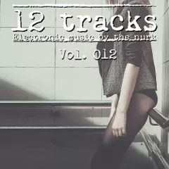 12 Tracks Vol. 012