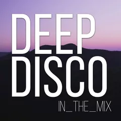 Deep Disco Records #104
