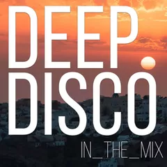 Deep Disco Records #105