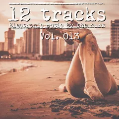 12 Tracks Vol. 013