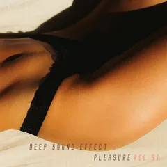 Pleasure Mix vol.01 (April 2021)