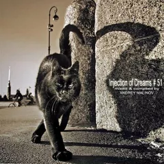 Injection of Dreams # 51