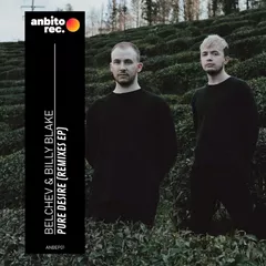 Belchev & Billy Blake — Pure Desire (Remixes EP)