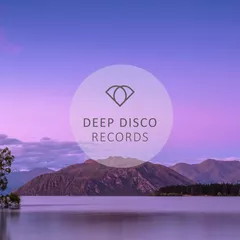 Deep Disco Vibes #19